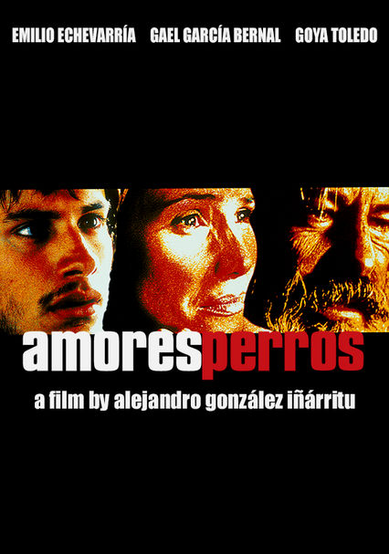 Amores Perros