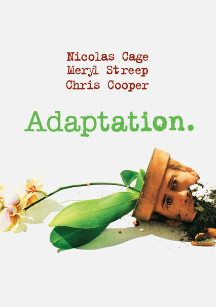 Adaptation